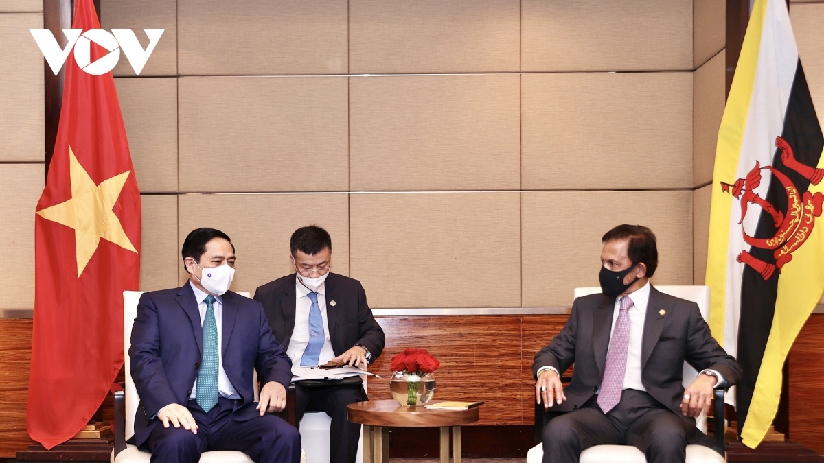 Vietnam, Brunei seek stronger comprehensive partnership